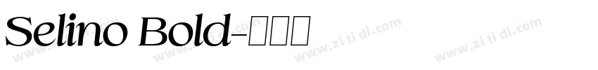 Selino Bold字体转换